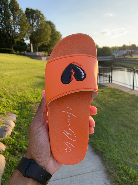 Clemson Slides